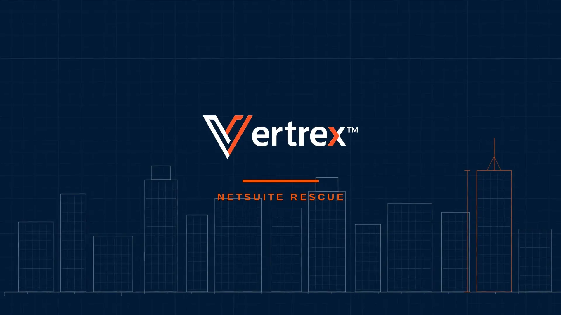 Vertrex NetSuite Rescue